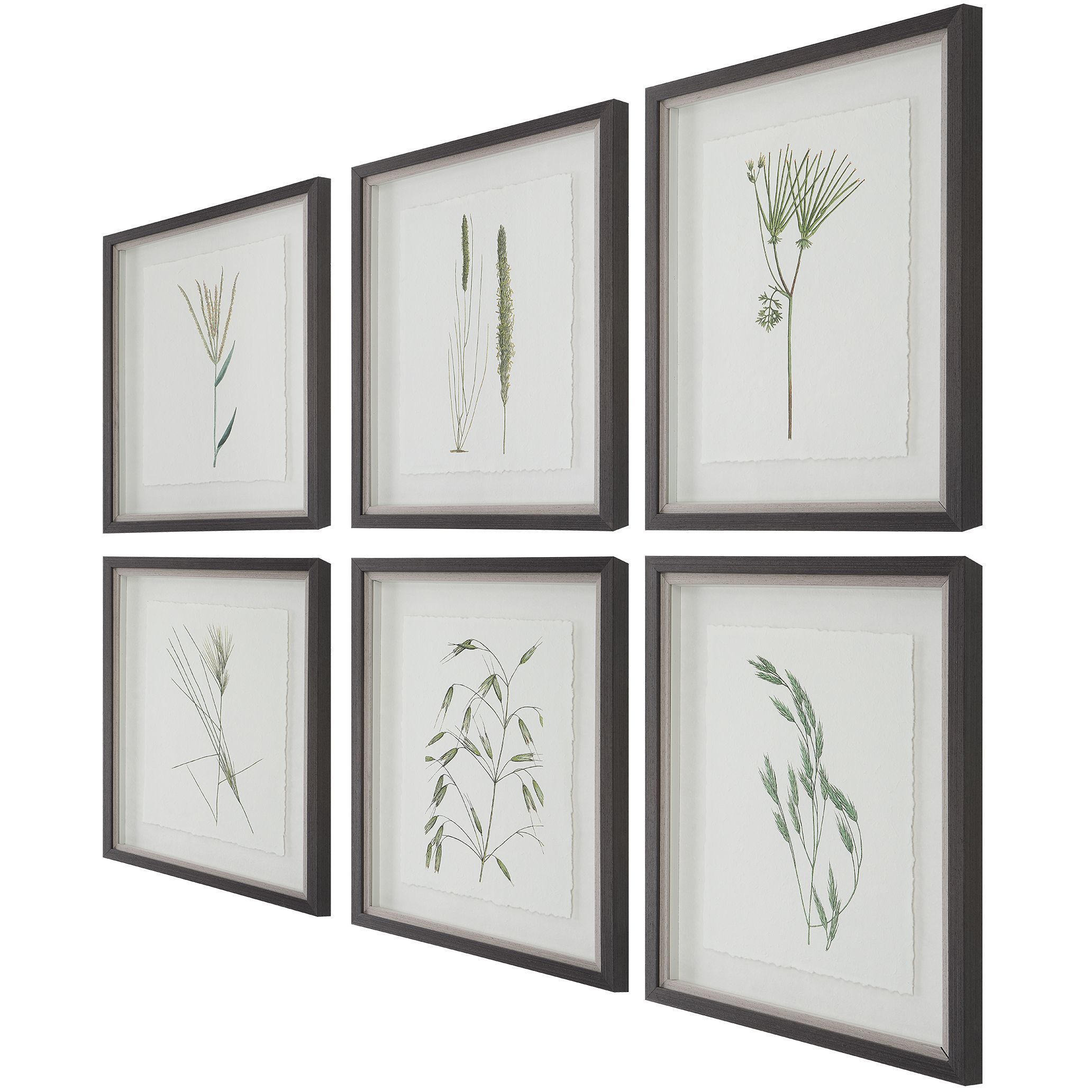 Forest Finds 22 X 18 inch Framed Prints, Set of 6