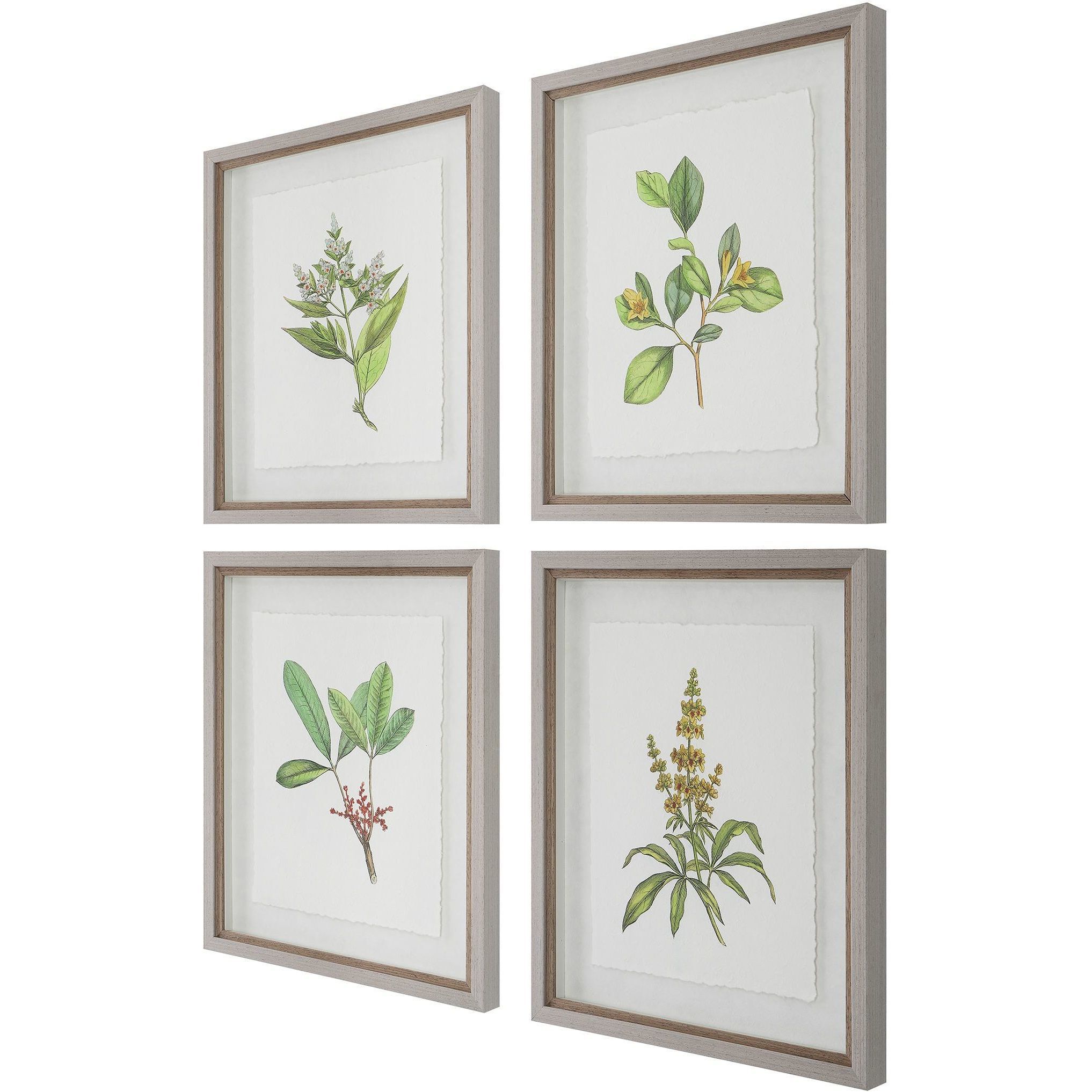Wildflower Study 22 X 19 inch Framed Prints, Set of 4