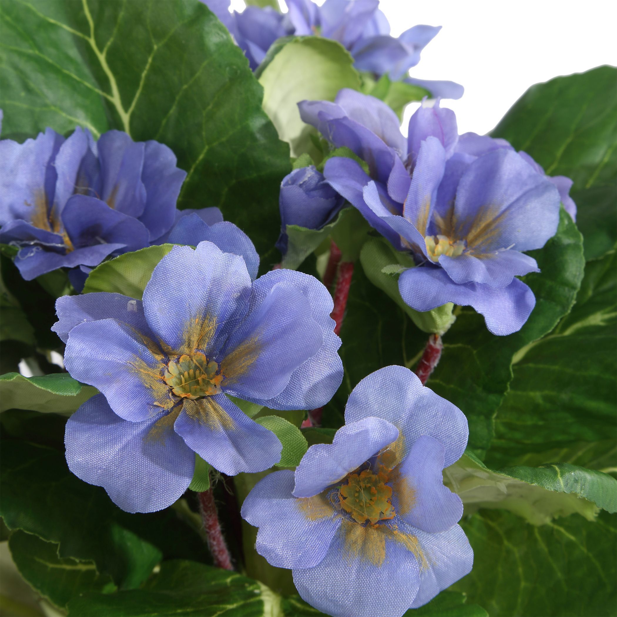 Trilogy Primrose Periwinkle and White and Fuchsia Primrose Accents in Vases, Set of 3