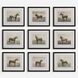 Equine Dynasty 15.88 X 13.88 inch Framed Prints, Set of 9