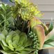 Mico Green and Burgundy and Matte Black Indoor-Outdoor Succulent Centerpiece