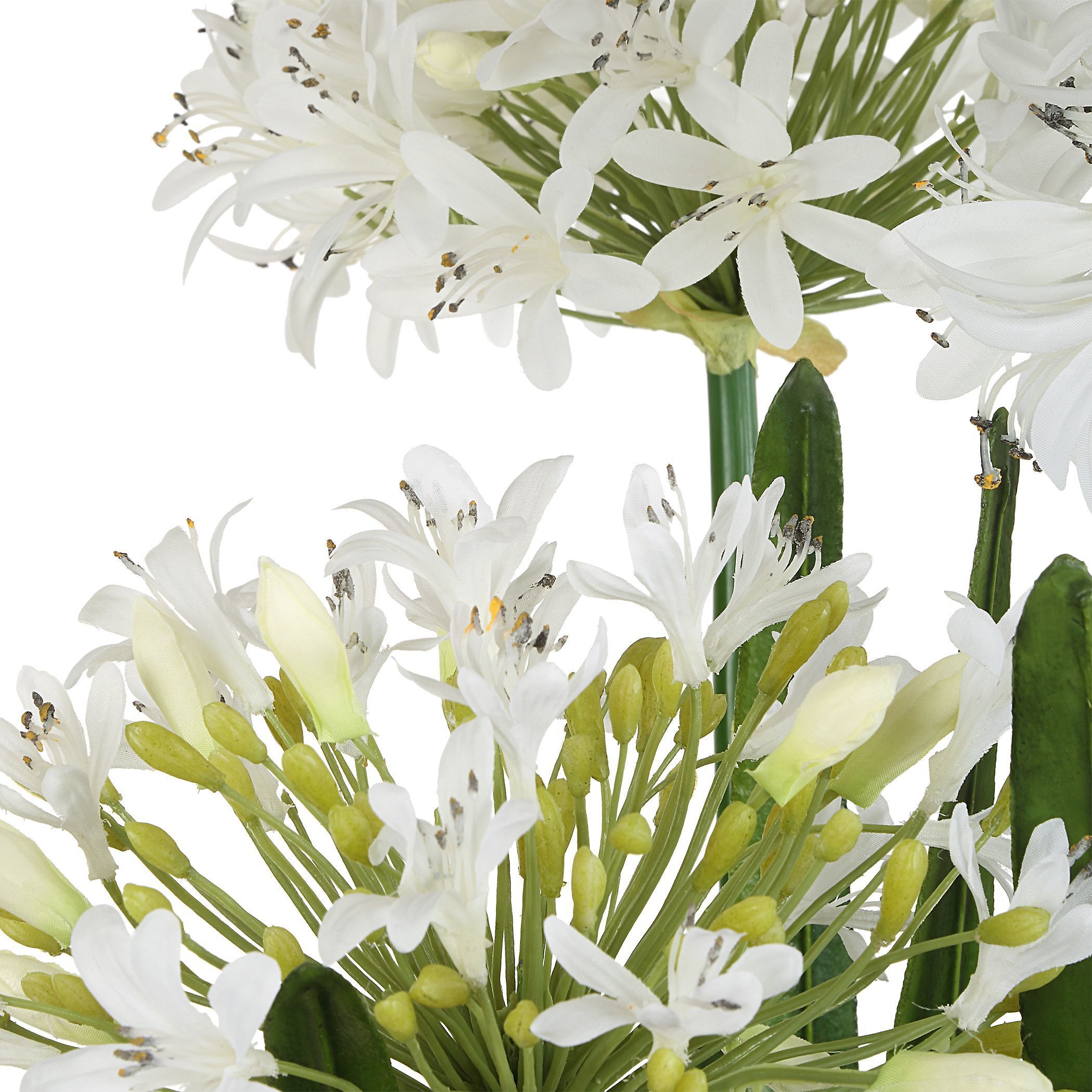 Purity Agapanthus Green and White Centerpiece