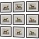 Equine Dynasty 15.88 X 13.88 inch Framed Prints, Set of 9