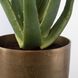 Arabia Green with Antique Brass and Matte Black Aloe Planter