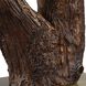 Namath 29.5 inch 150 watt Textured Wood and Antique Brass Table Lamp Portable Light