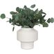 Essence Eucalyptus Gloss White and Green Accent & Vase