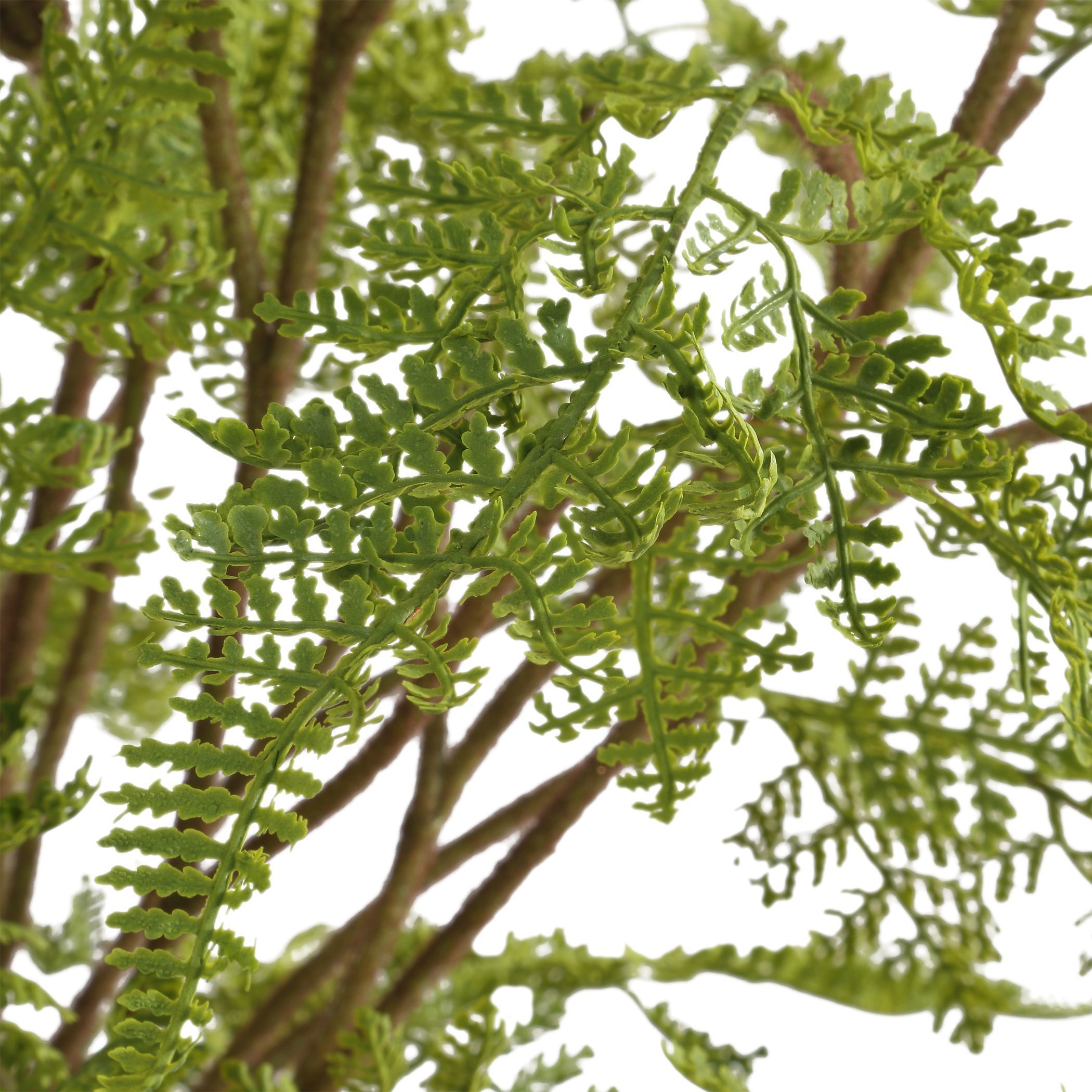 Woodland Fern Green and Clear Centerpiece