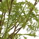 Woodland Fern Green and Clear Centerpiece