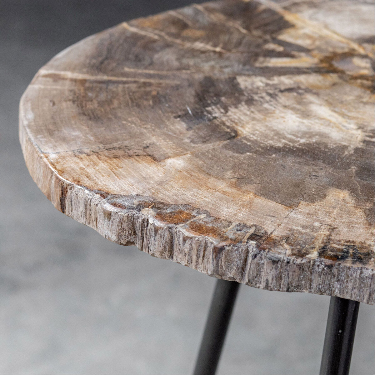 Mircea 20 X 16 inch Natural Petrified Wood and Aged Black Accent Table
