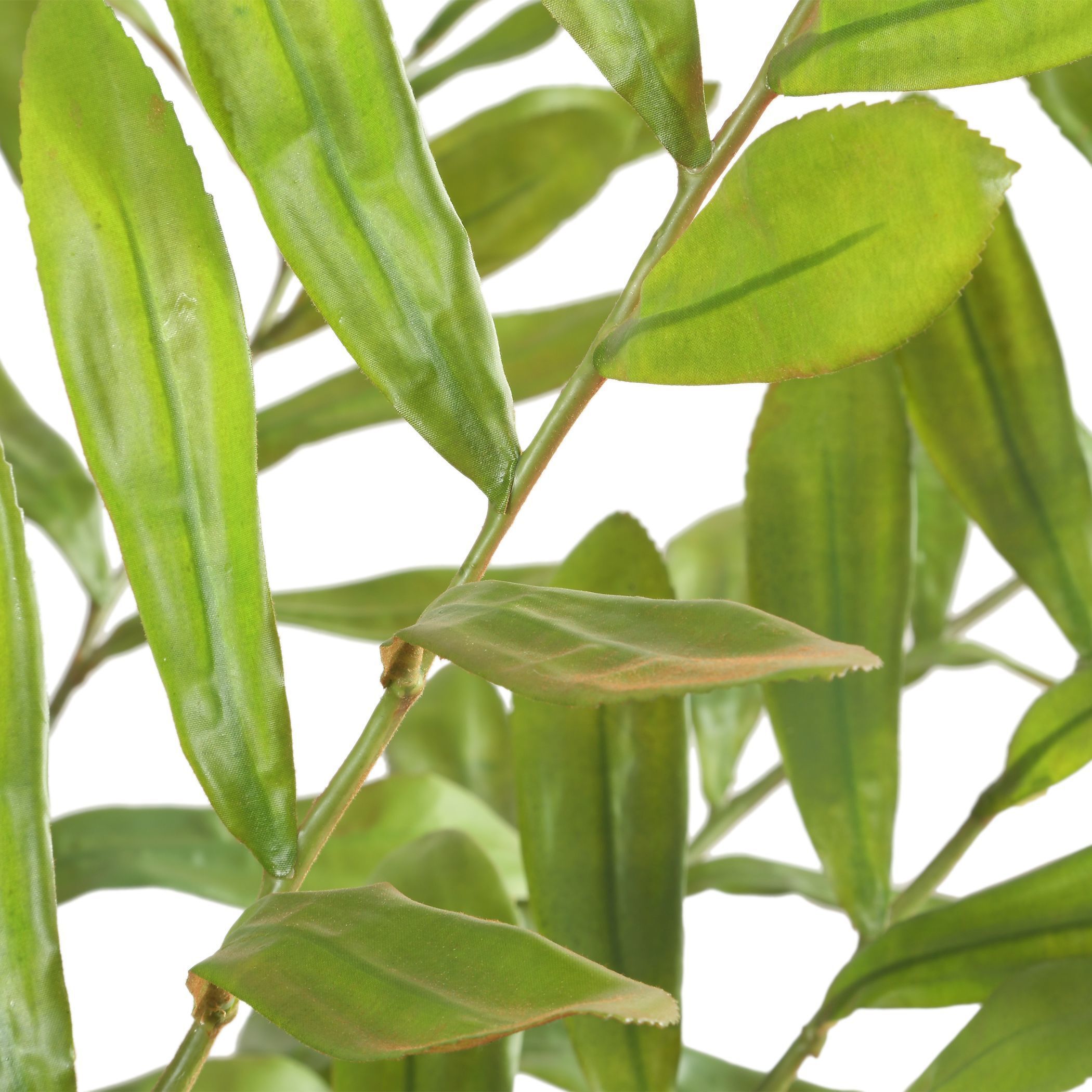 Zamia Green and Concrete Palm Acccent Planter