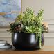 Mico Green and Burgundy and Matte Black Indoor-Outdoor Succulent Centerpiece