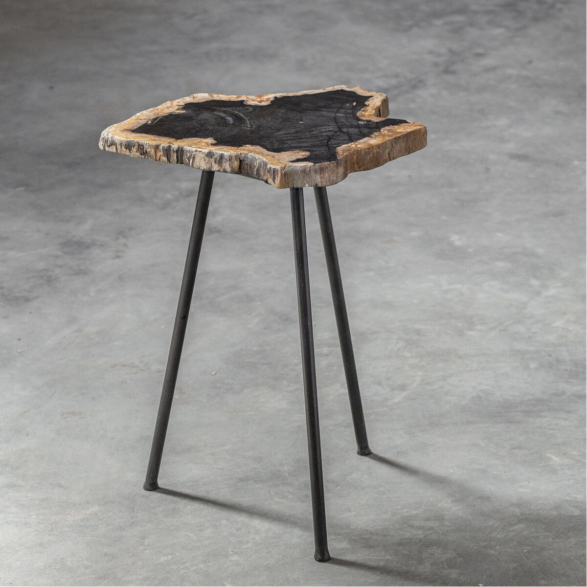 Mircea 20 X 16 inch Natural Petrified Wood and Aged Black Accent Table