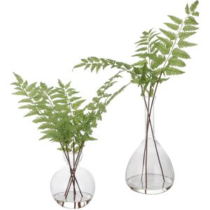 Country Green with Clear Glass Ferns, Set of 2