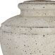 Artifact 24.5 inch 150 watt Aged Stone and Brushed Nickel Table Lamp Portable Light