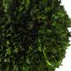 Preserved Boxwood Green and Chalk White Triple Topiary