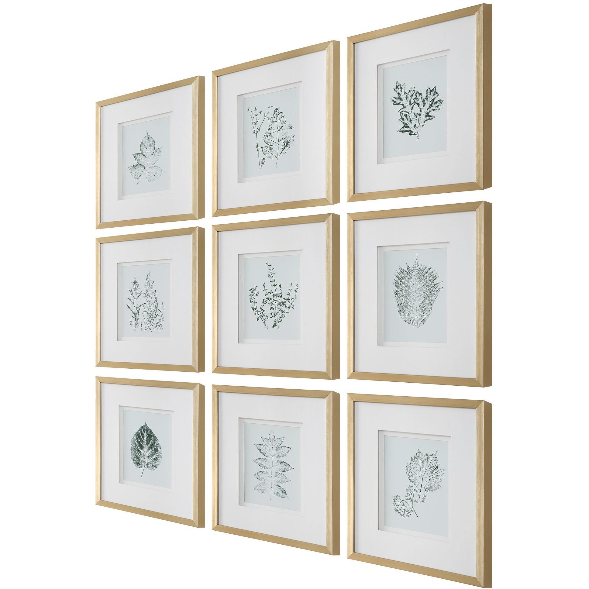 Nature's Script 17.25 X 15.25 inch Framed Botanical Prints, Set of 9