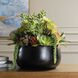 Mico Green and Burgundy and Matte Black Indoor-Outdoor Succulent Centerpiece