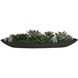 Verde Succulent Black and Green Centerpiece In Bowl