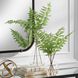 Country Green with Clear Glass Ferns, Set of 2