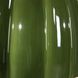 Renna 25.5 inch 150.00 watt Moss Green Glaze Table Lamp Portable Light