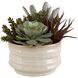 Mesa Succulent Green with Textured Tan Glaze Succulent Accent