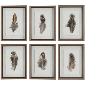 Birds Of A Feather 20 X 15 inch Framed Prints, Set of 6