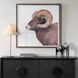 Big Horn 40 X 40 inch Sheep Framed Print