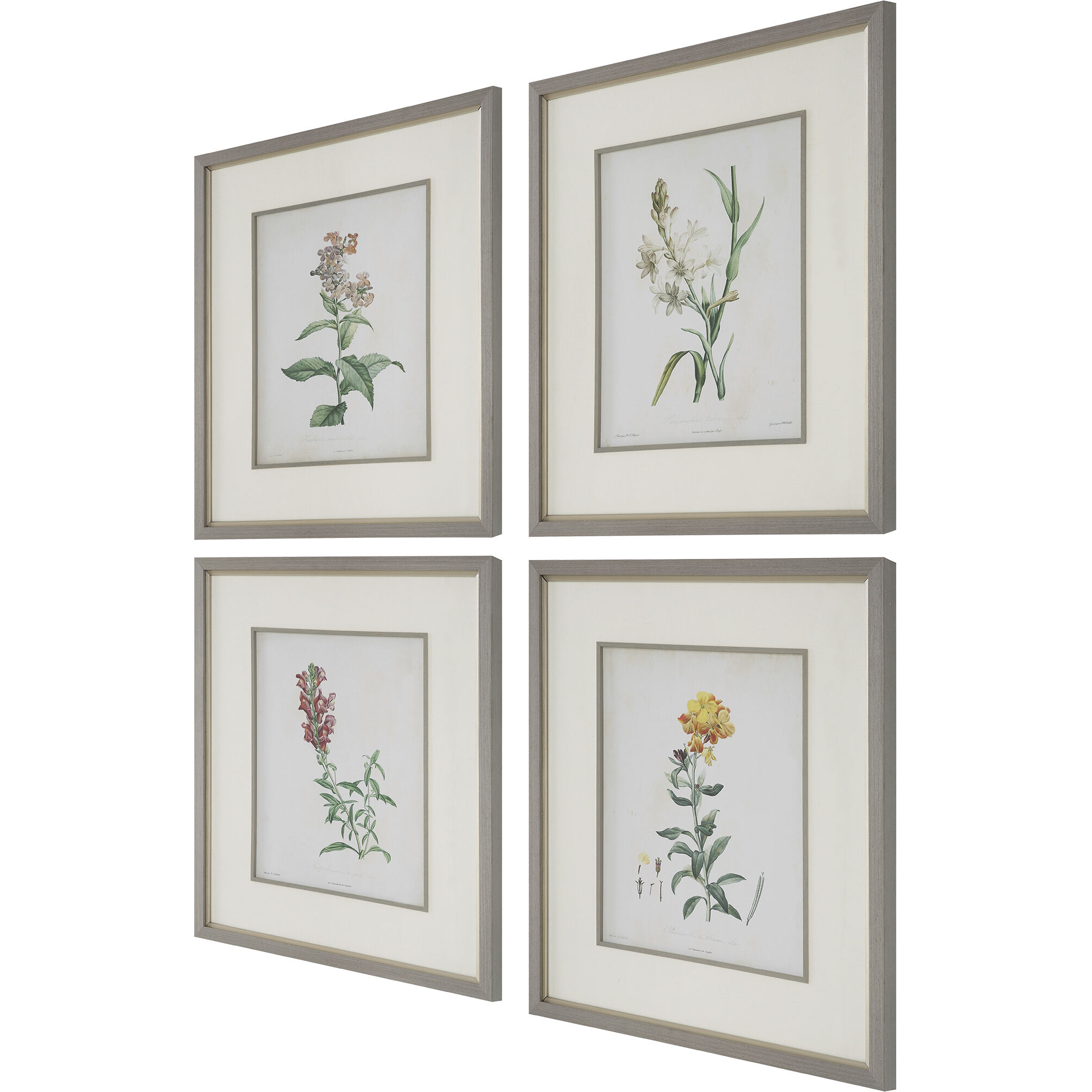 Heirloom Blooms 30.38 X 26.38 inch Framed Prints, Set of 4