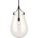 Dewdrop 1 Light 13.5 inch Matte Black Pendant Ceiling Light