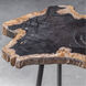 Mircea 20 X 16 inch Natural Petrified Wood and Aged Black Accent Table