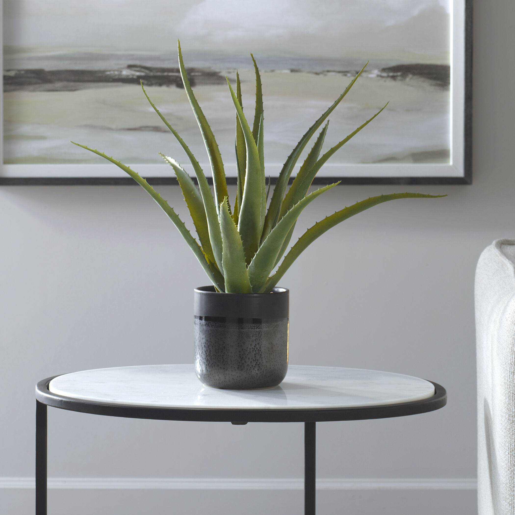 Tucson Textured Matte and Gloss Glazes Aloe Planter