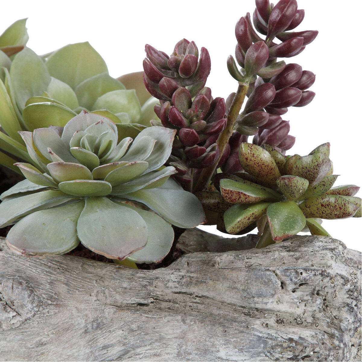Charita Solid Concrete Succulents