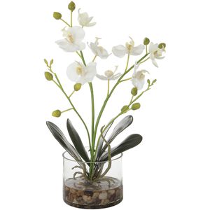 Glory White and Green with Clear Glass Orchid