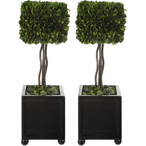 Preserved Boxwood Evergreen Foliage and Satin Black Topiaries, Set of 2
