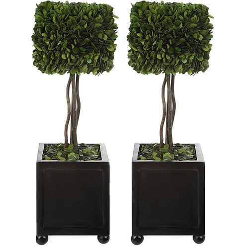 Preserved Boxwood Evergreen Foliage and Satin Black Topiaries, Set of 2
