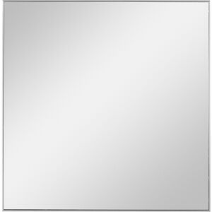 Alexo 28 X 28 inch Brushed Silver Wall Mirror
