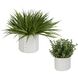 Edgewood Green with White Glaze Greenery, Set of 2