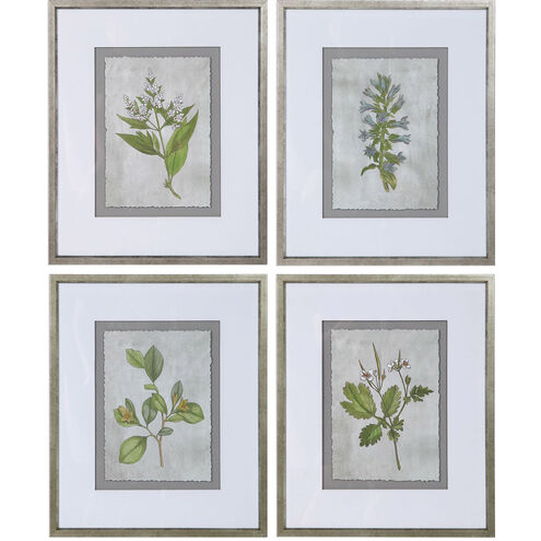Stem Study 24 X 20 inch Framed Prints, Set of 4