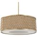Pinchot 4 Light 22.25 inch Brushed Matte Gold Pendant Ceiling Light
