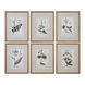 Green Floral Botanical Study 22.63 X 17.63 inch Art Prints