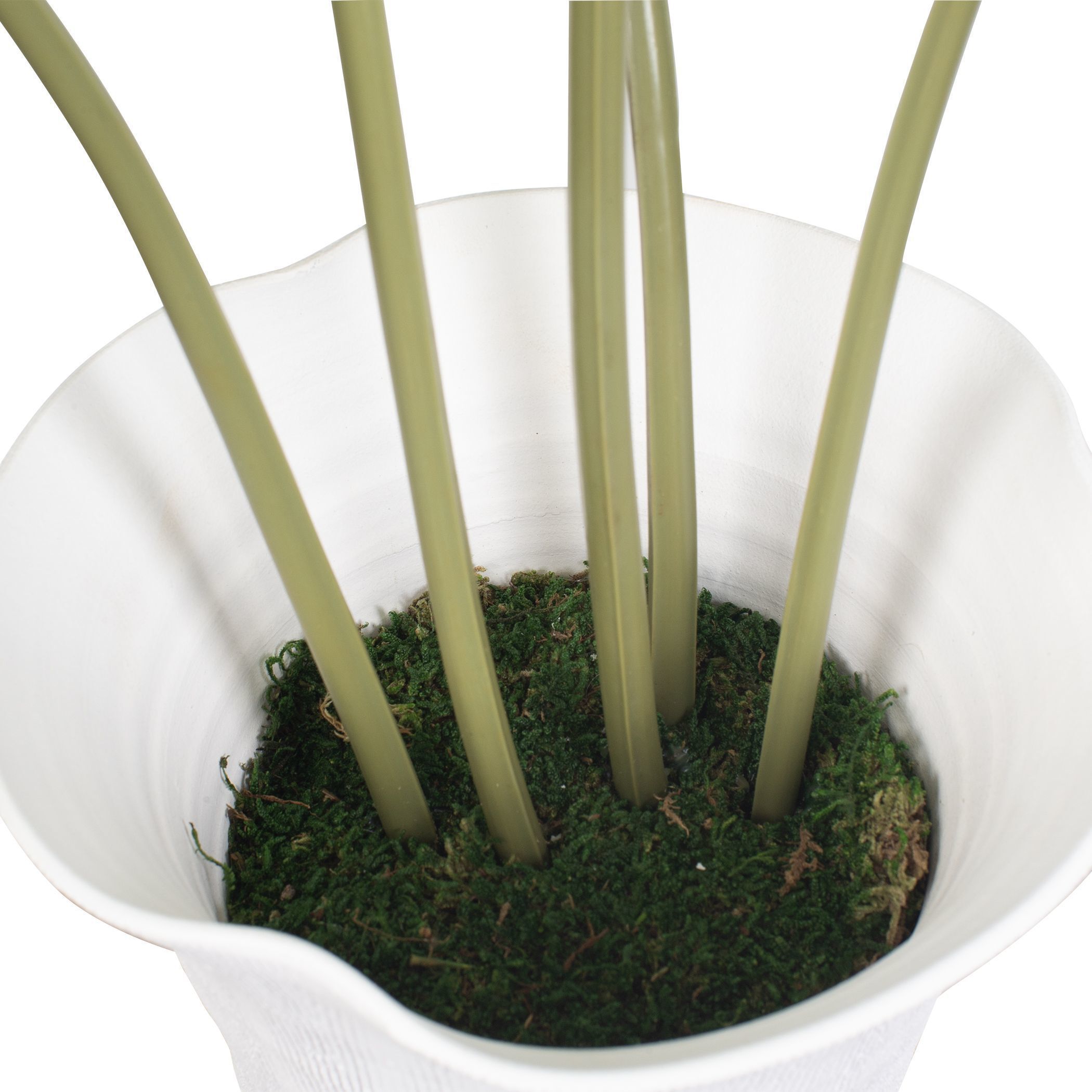 Marisol Stone Gray and Green Potted Olive Plant