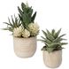 Seaside Succulents Green with Neutral Tan Glaze Succulents, Set of 2