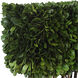 Preserved Boxwood Evergreen Foliage and Satin Black Topiary