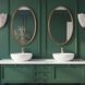 Ellis 33.5 X 20.5 inch Plated Antique Brass Mirror