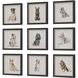 Loyal Companion 14 X 14 inch Framed Dog Prints, Set of 9