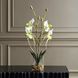 Lady White and Green and Clear Orchid In Glass Vase
