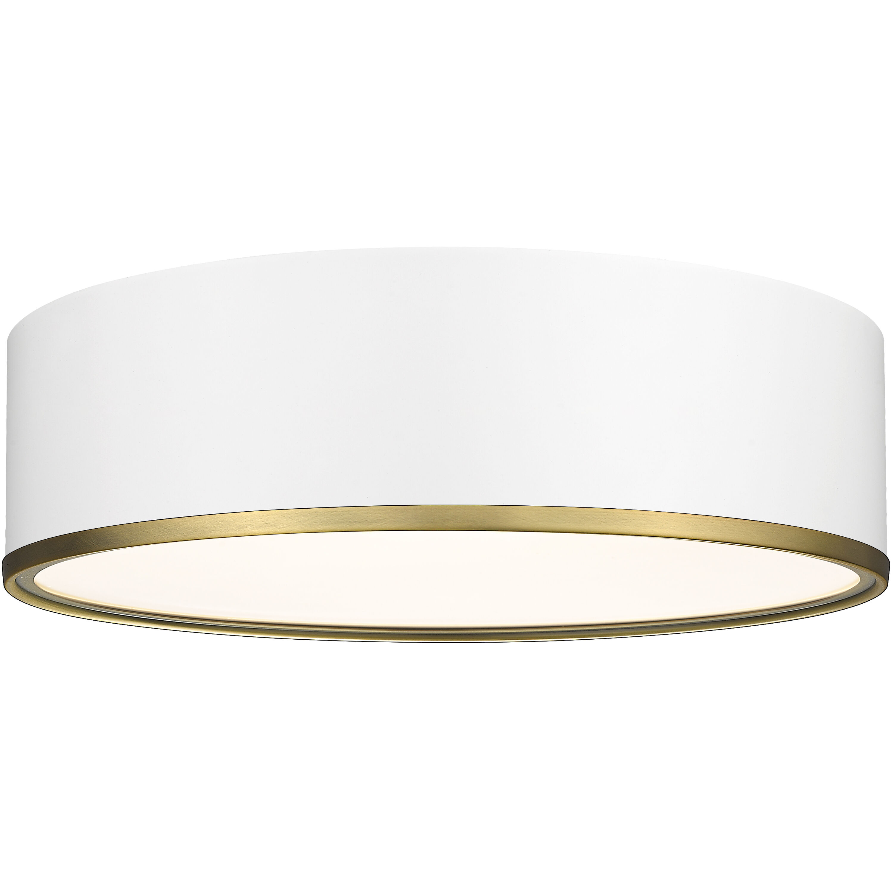 Arlo 4 Light 20.25 inch Flush Mount
