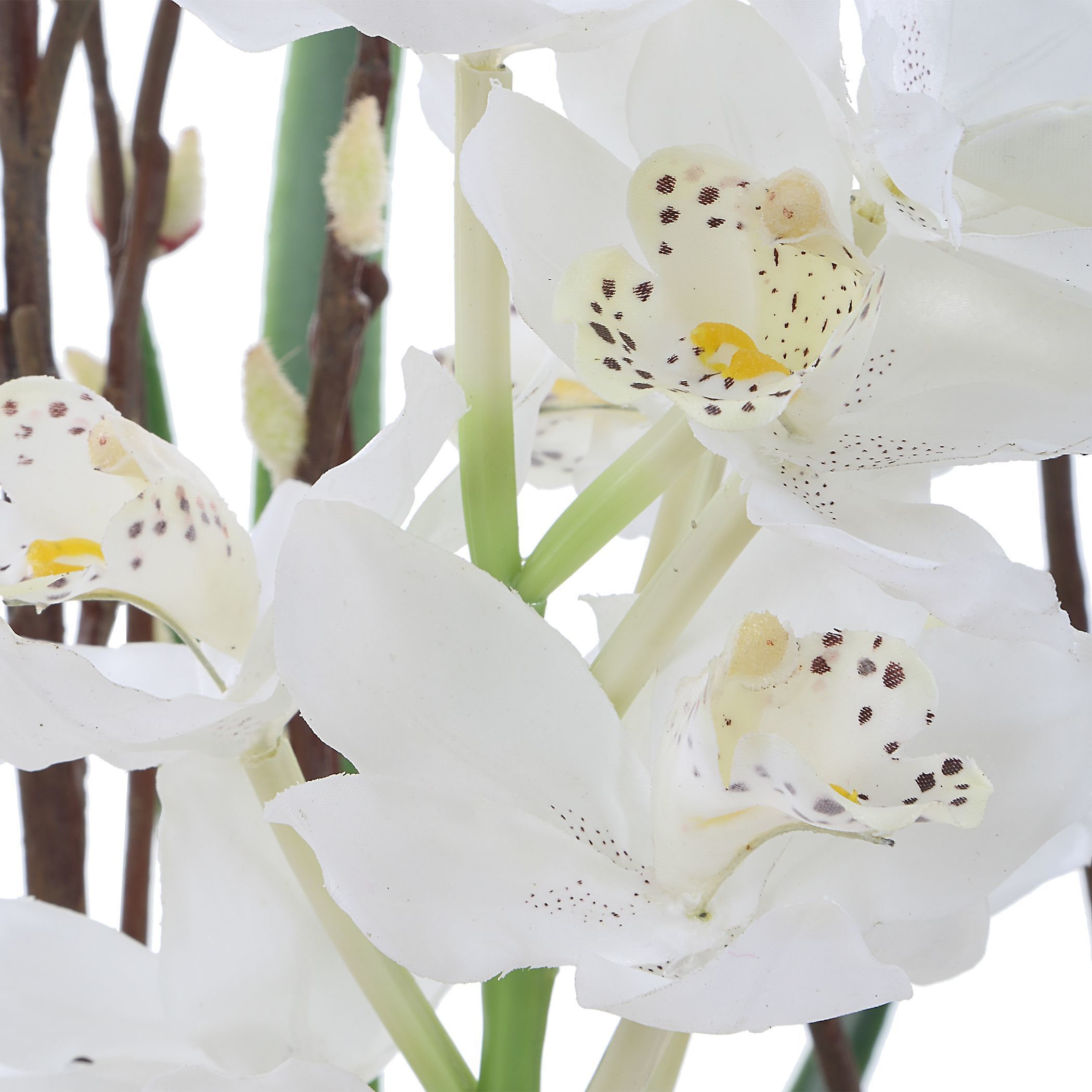 Eterna Orchid Aged Charcoal with White and Green Centerpiece & Vase