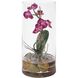 Mariposa Purple and Green and Clear Orchid