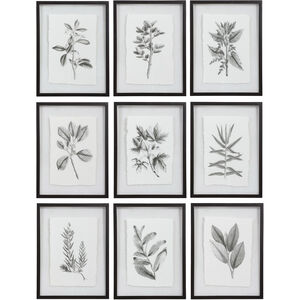 Farmhouse Florals 23 X 18 inch Framed Prints, Set of 9 
